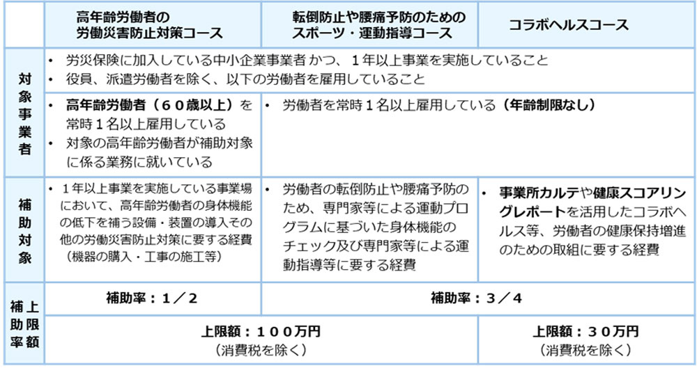 厚生労働省「エイジフレンドリー補助金について」